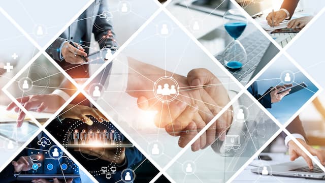 Al Ain Educational Investments (AAEI)